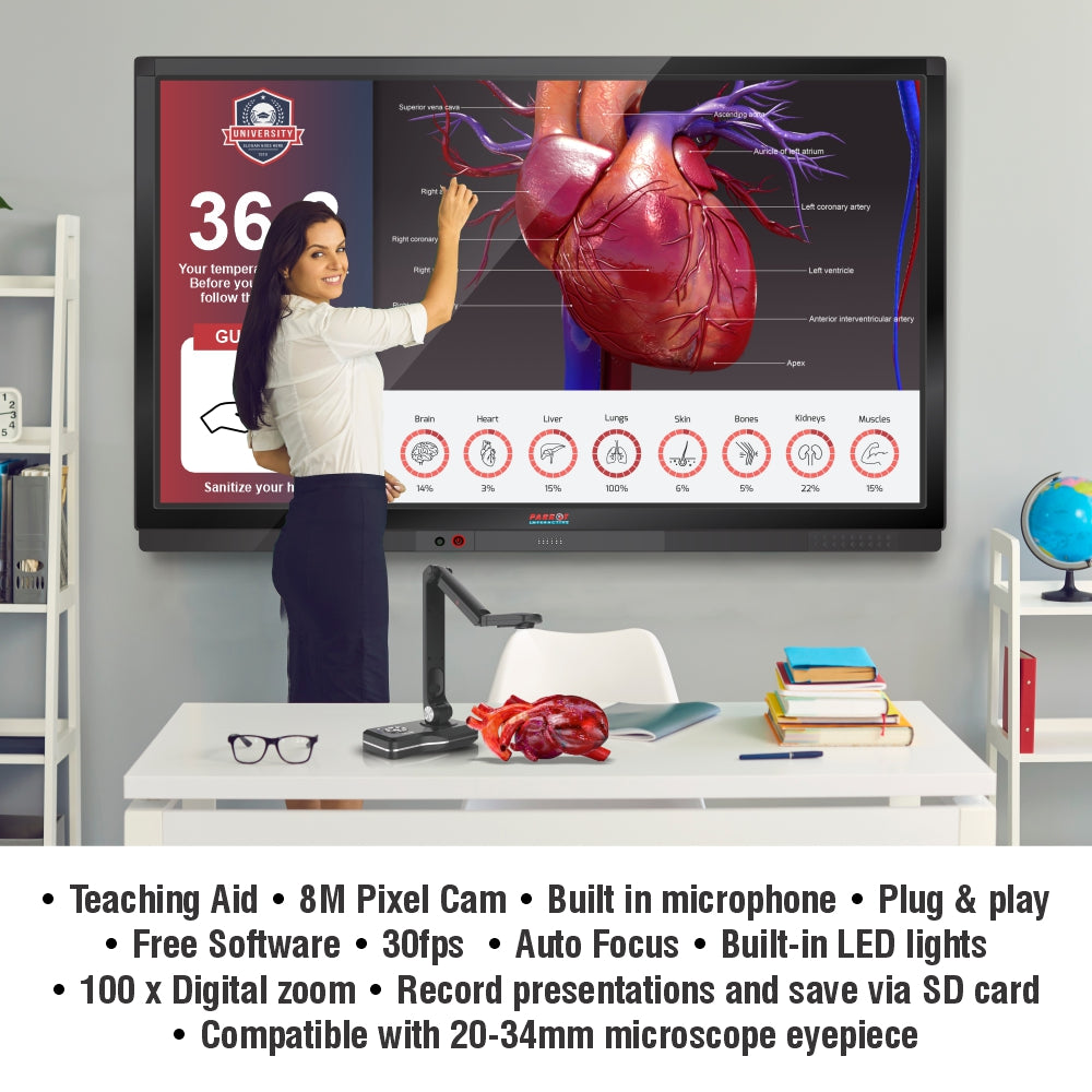 Visualizer Presenter (Deluxe)