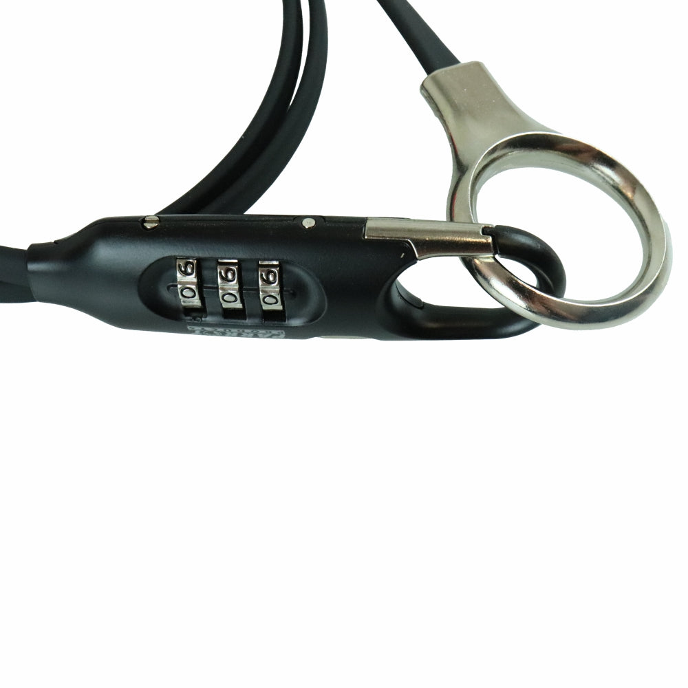 Double Loop Multi-Usage lock