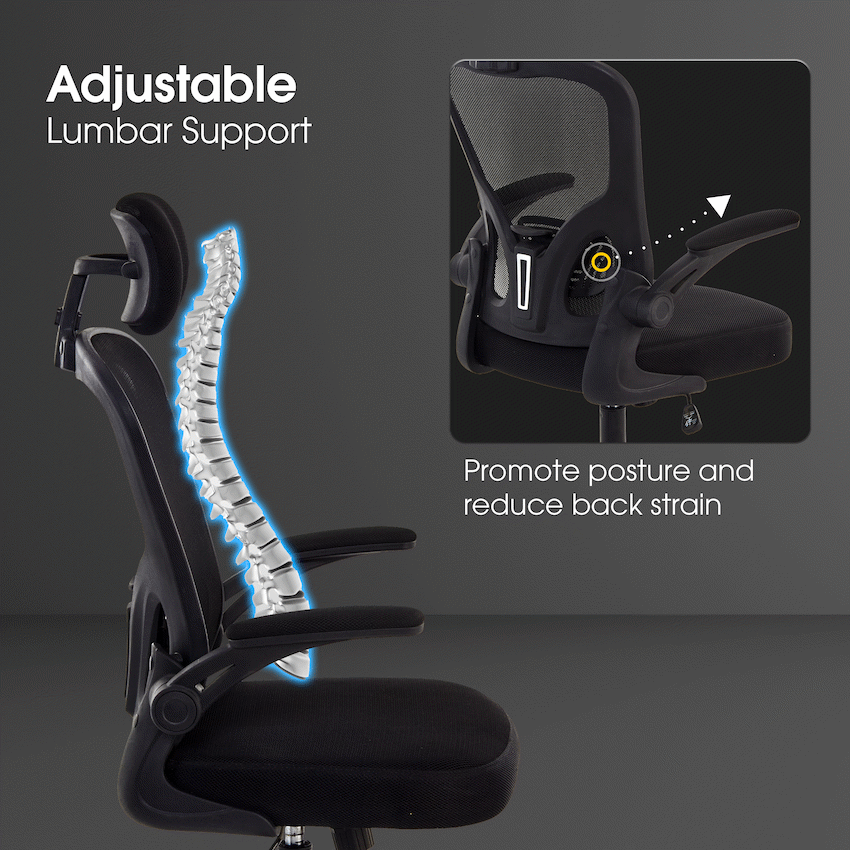 Everfurn Stagio Ergo High Back Office Chair