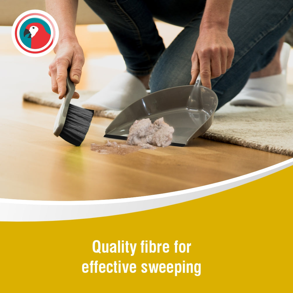 Janitorial Dustpan and Brush