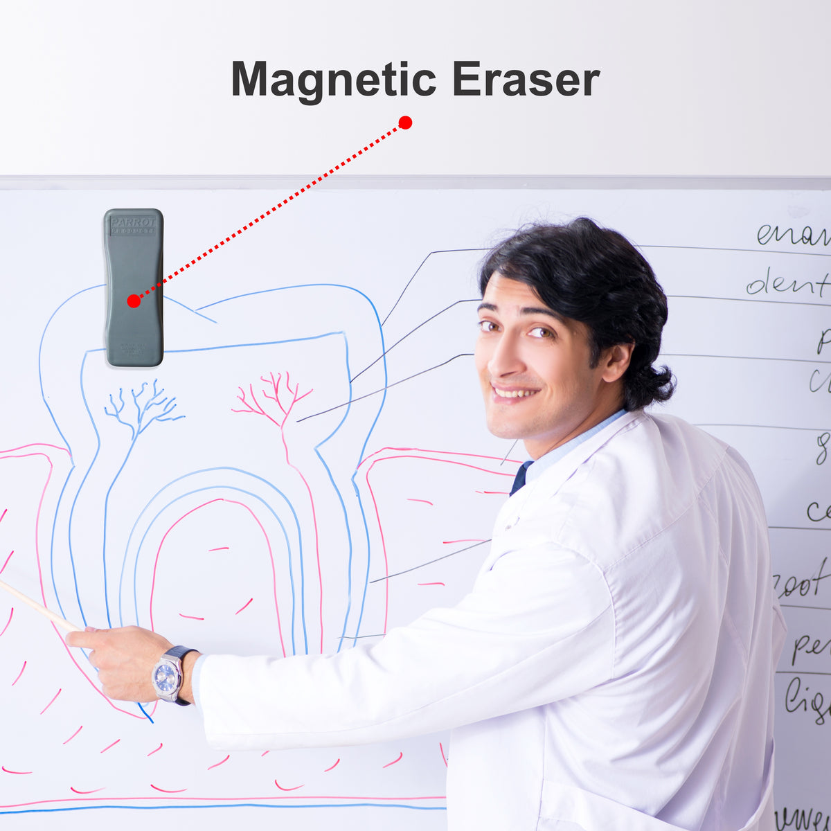 Eraser Magnetic Whiteboard (145*55mm)