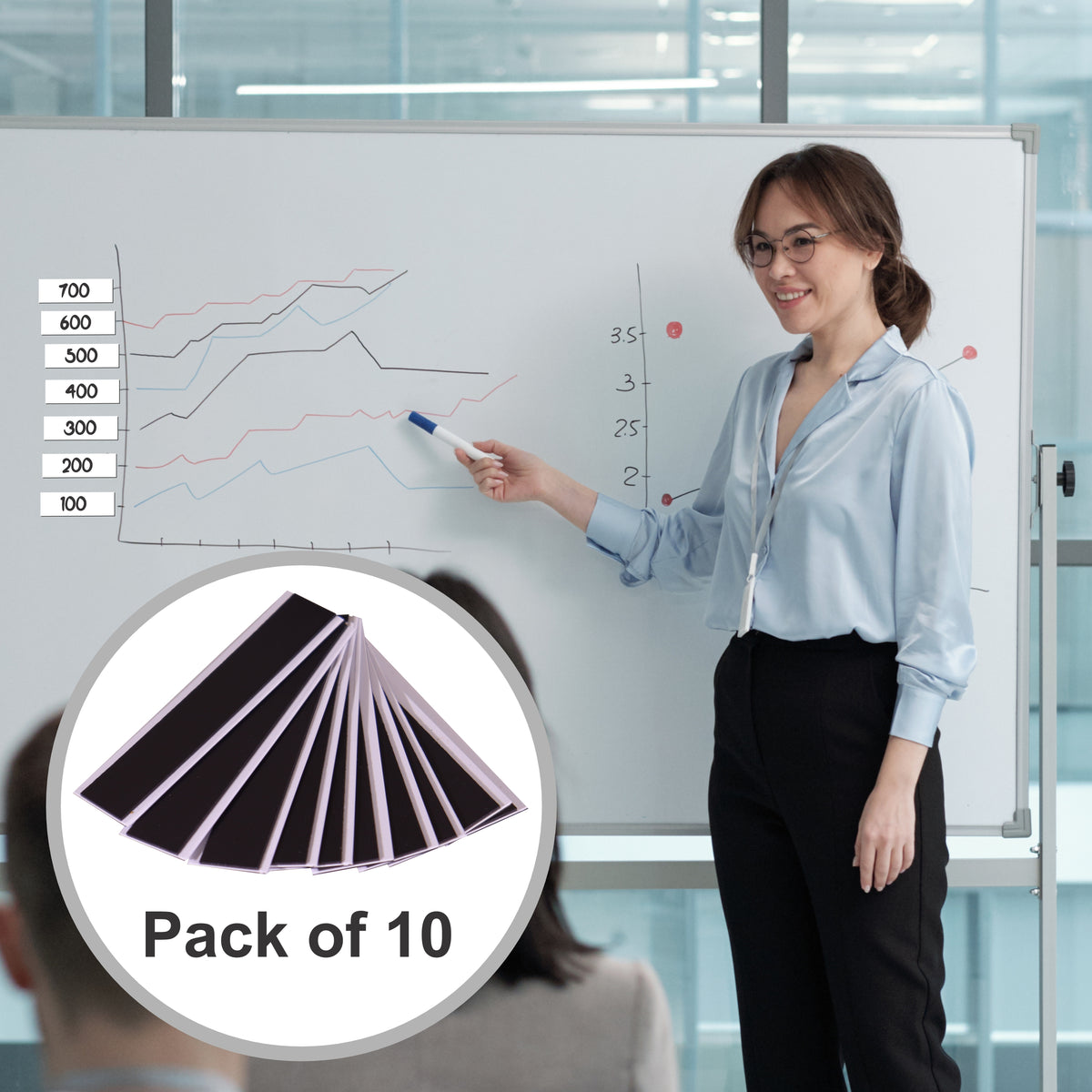 Magnetic Label Carriers (20*60mm - 10 Pack)