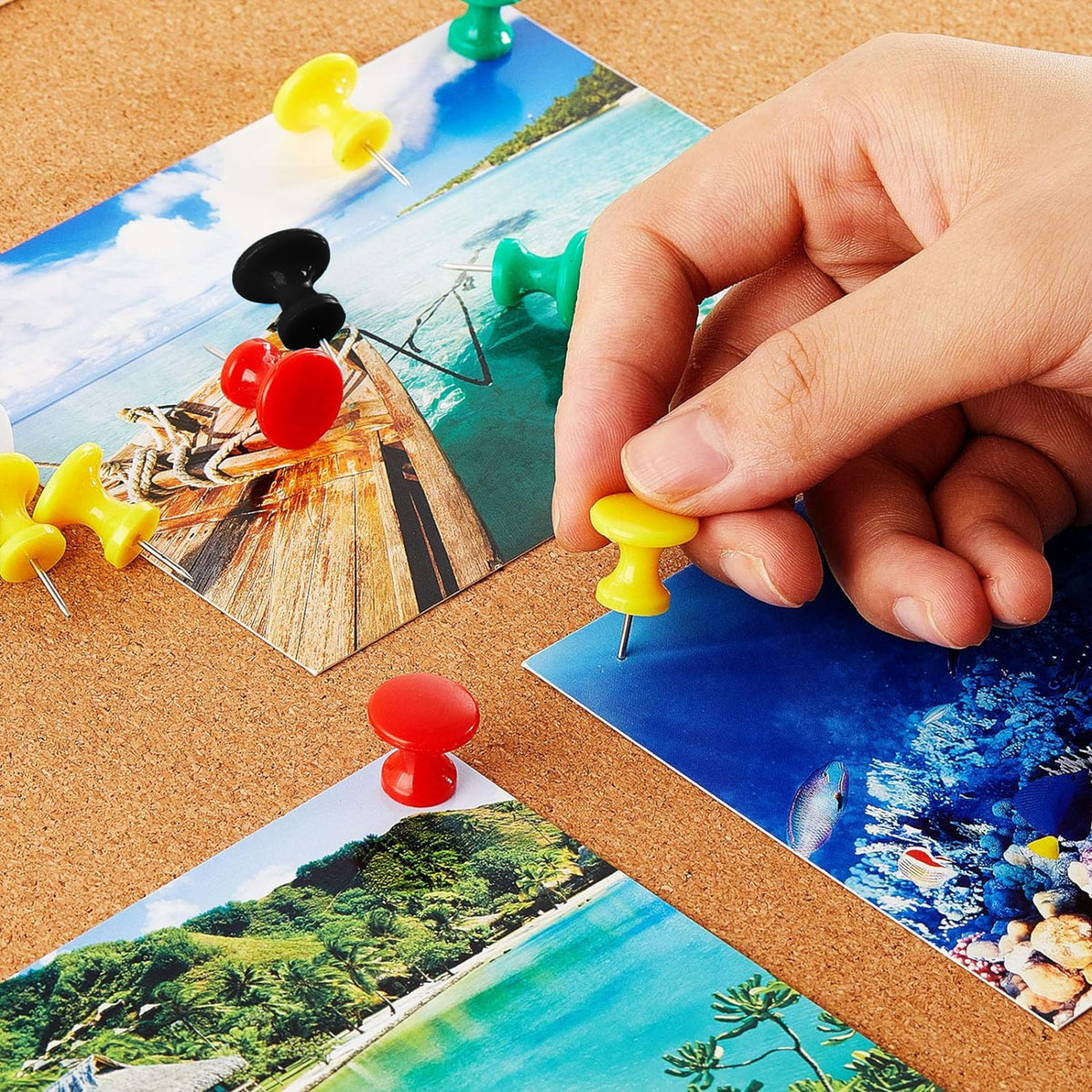 Giant Push Pins (Boxed 15 Assorted)