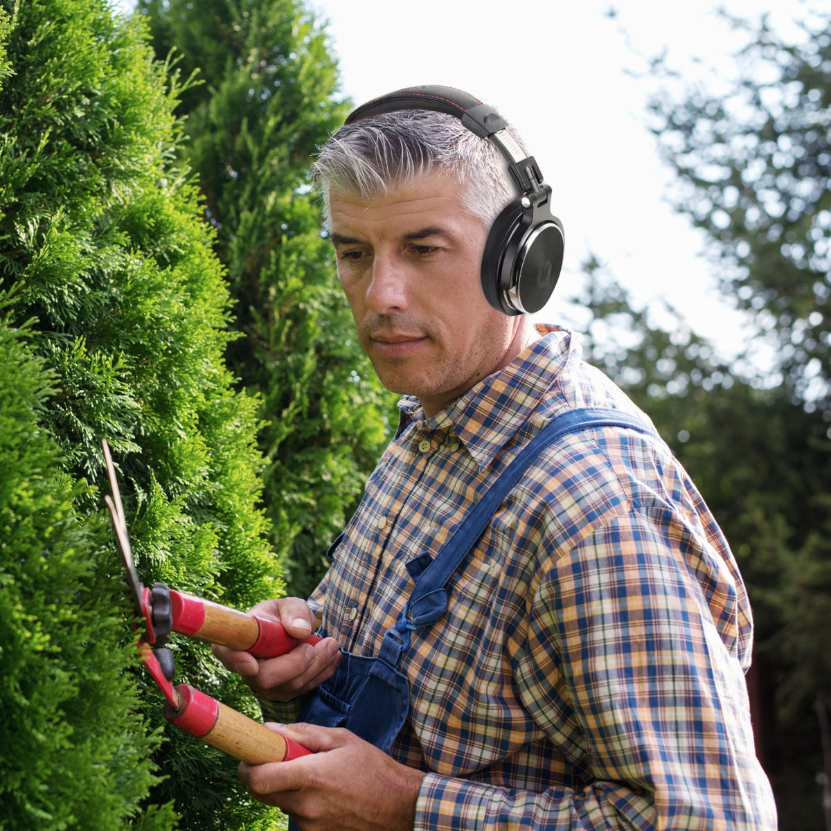 Parrot Wired Headphones