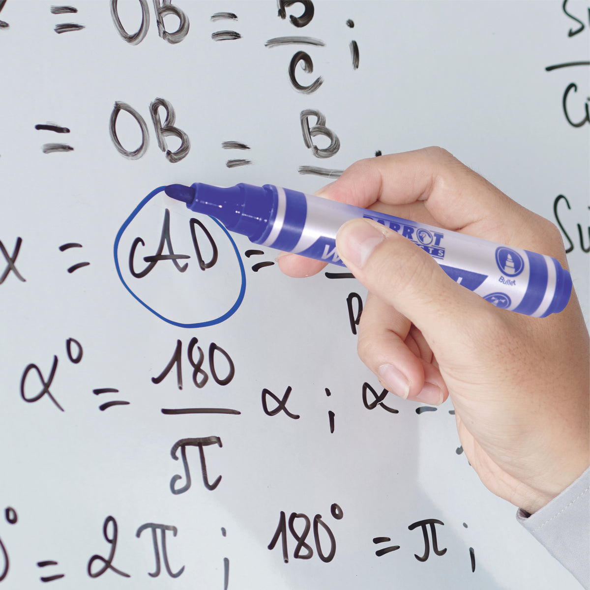 Whiteboard Markers (6 Markers - Bullet Tip - Pouch)