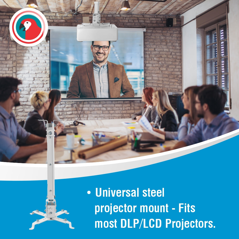 Parrot Projector Ceiling Mounting Bracket (430*650mm)