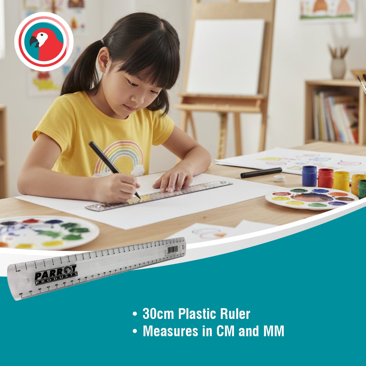 Plastic Ruler 30cm Clear Metric Measuring Ruler