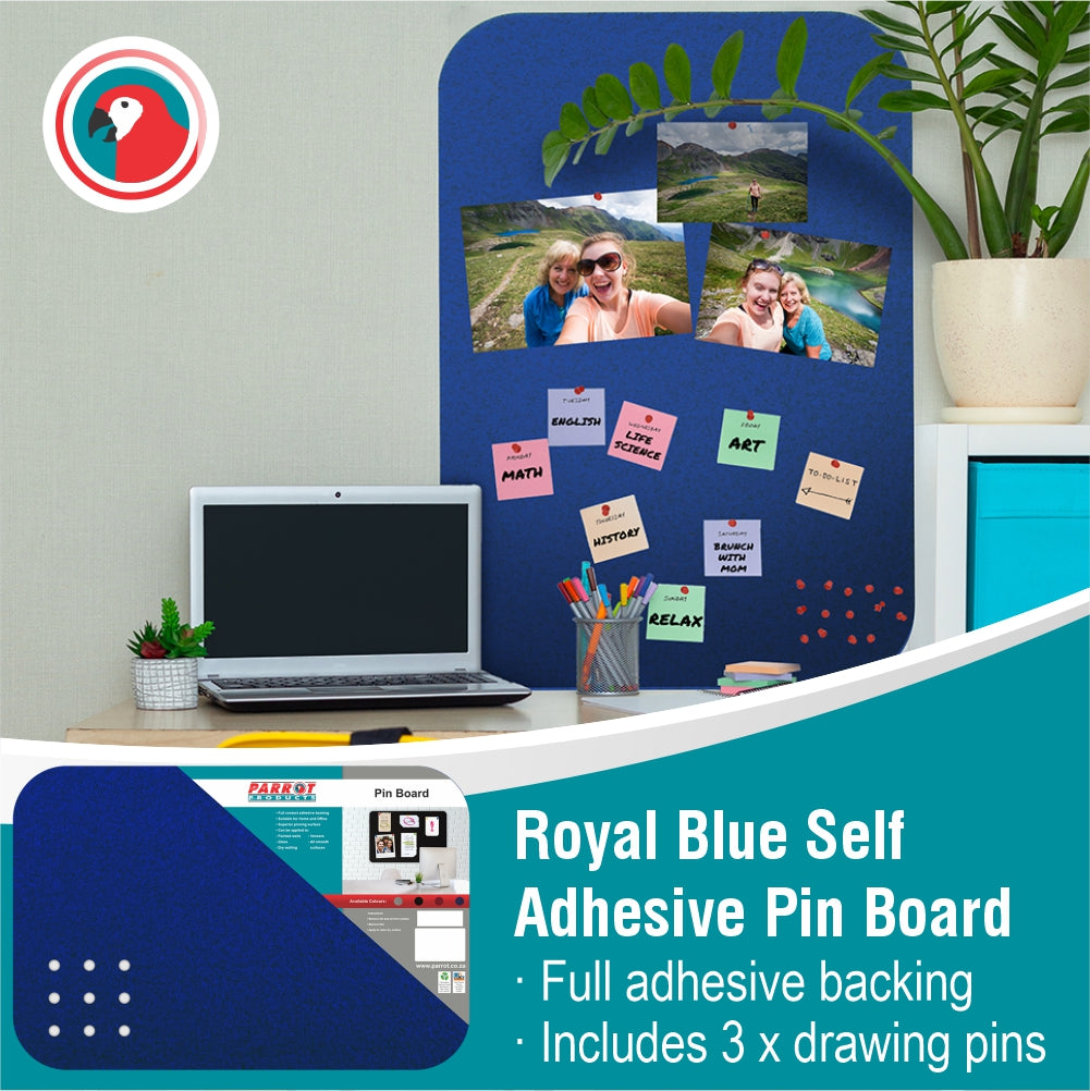 Adhesive Pin Board (No Frame - 450*300mm - Black)