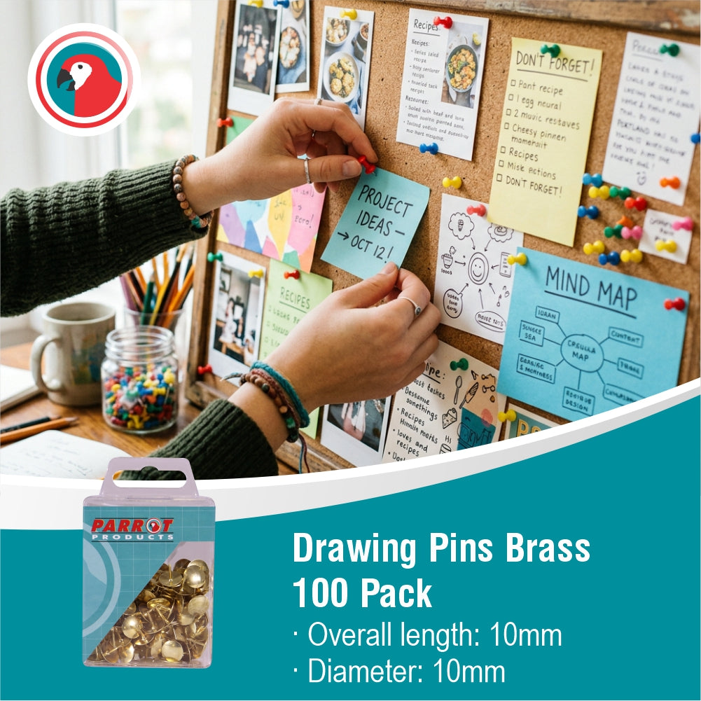 Drawing Pins Brass (Boxed Pack 100)