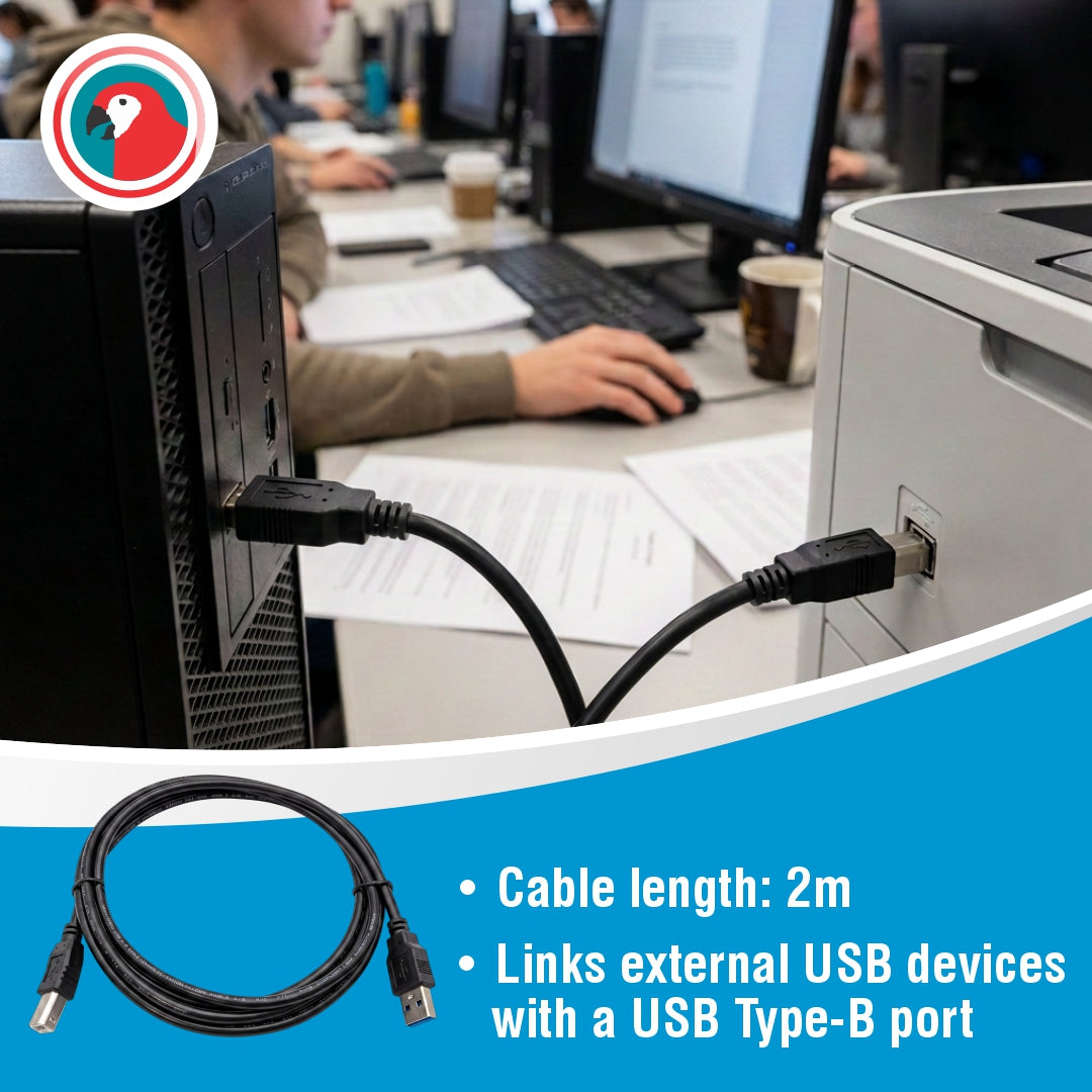 USB 2.0 AM To BM Cromo (2 Meters)