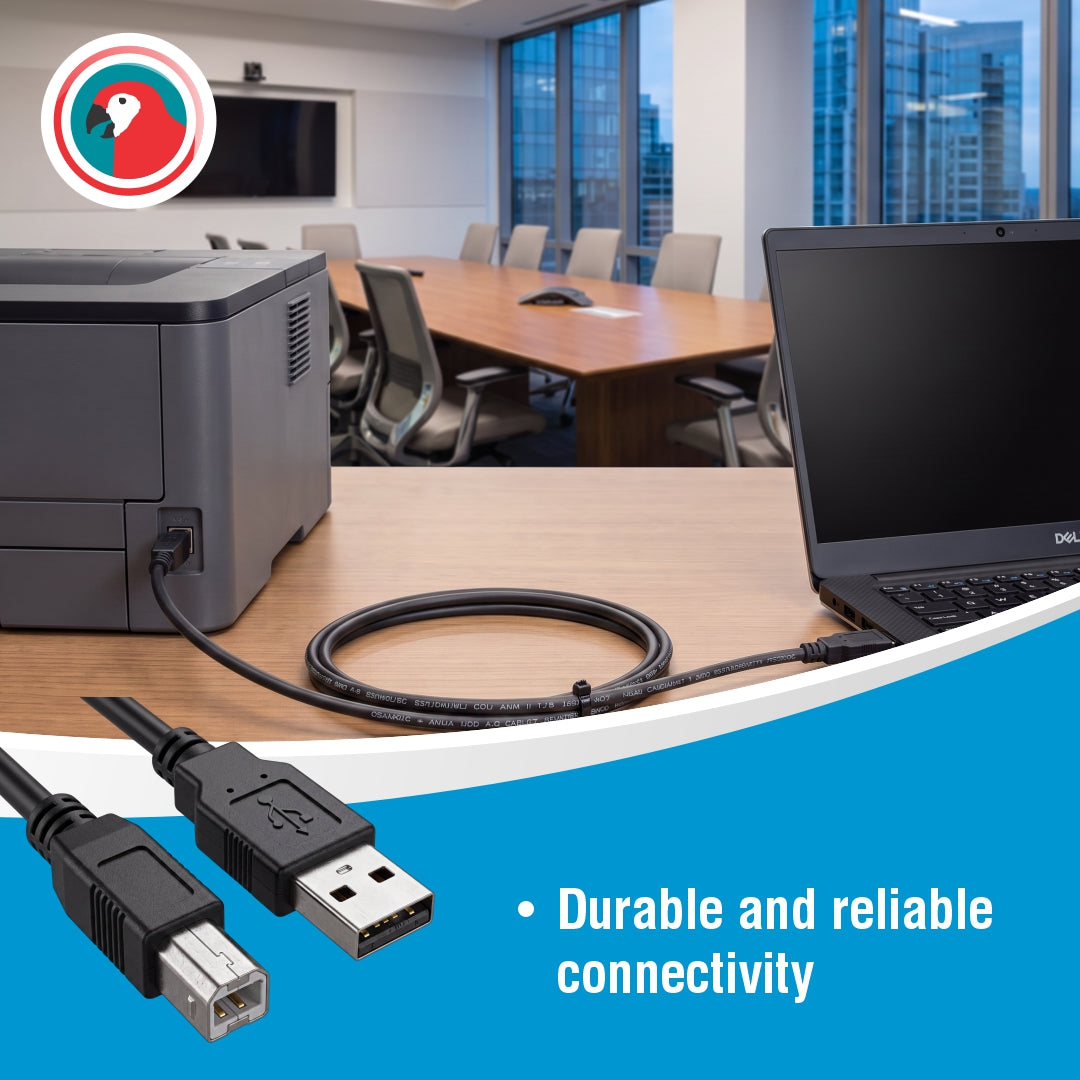 USB 2.0 AM To BM Cromo (2 Meters)