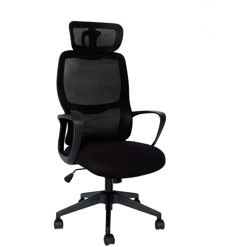 Everfurn Craft High Back Office Chair