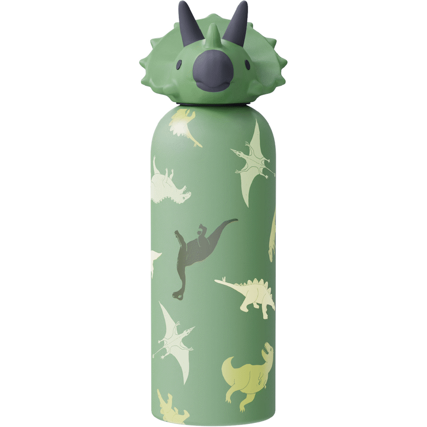 Loop&Co 500ml Water Bottle - Dinosaur