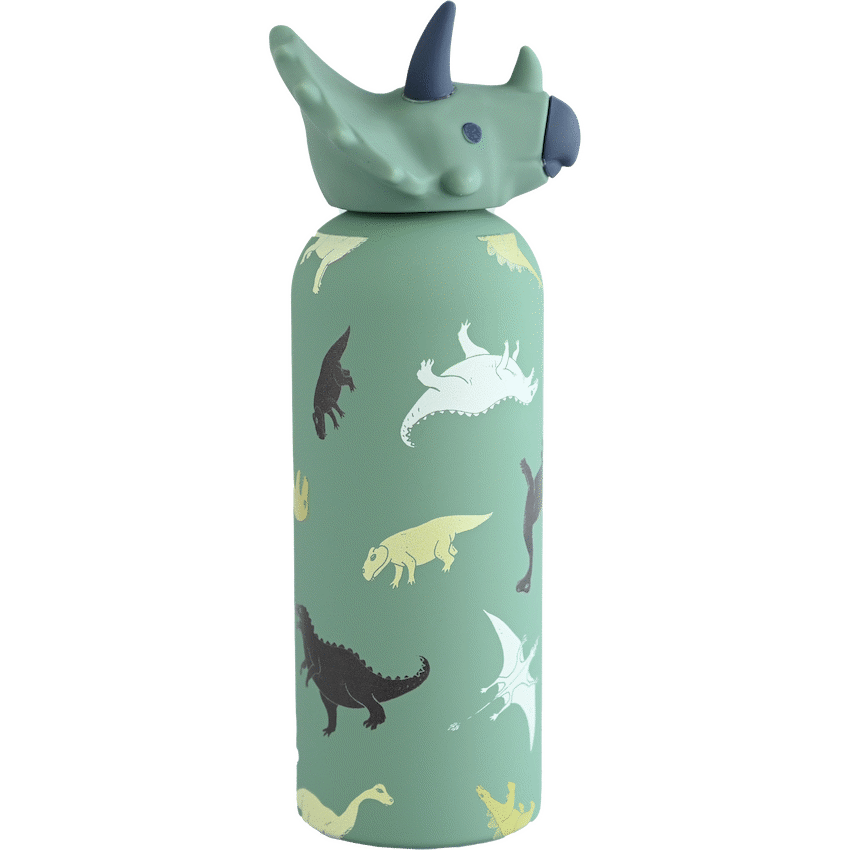 Loop&Co 500ml Water Bottle - Dinosaur