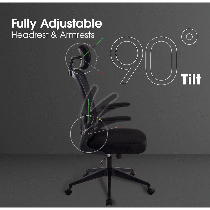 Everfurn Stagio Ergo High Back Office Chair