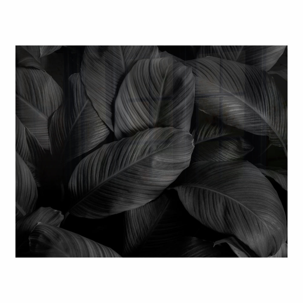 Decorative Glass Wall Tile (898 X 700 X 6mm) Feathers