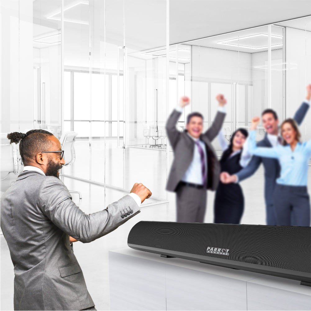 Parrot Speaker Sound Bar Econo Incl Wall Bracket