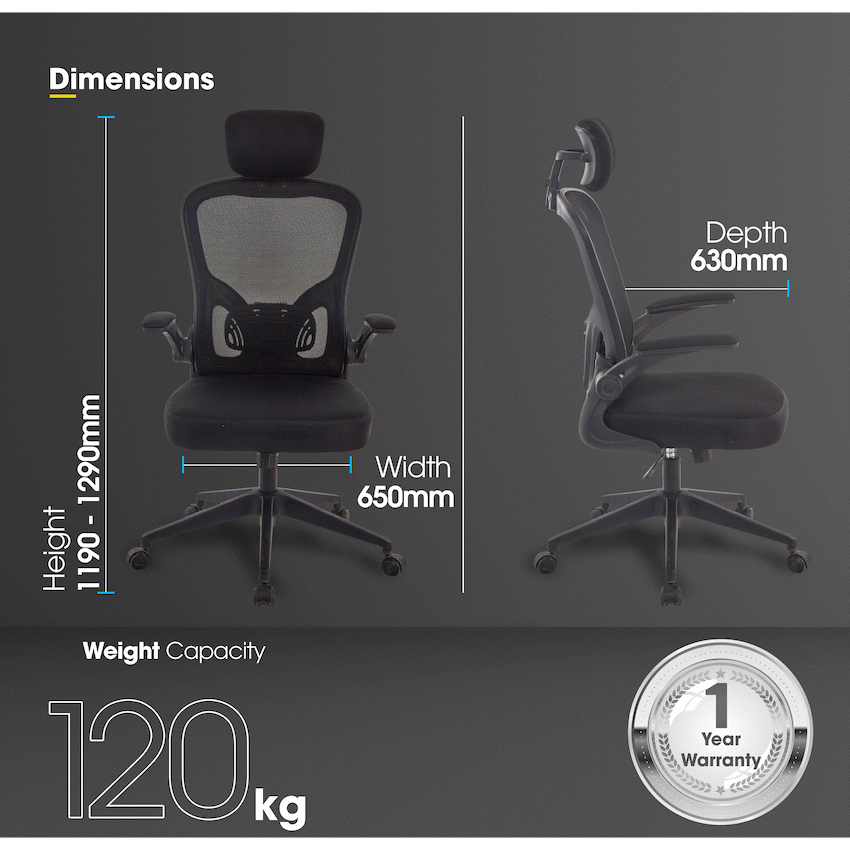 Everfurn Stagio Ergo High Back Office Chair