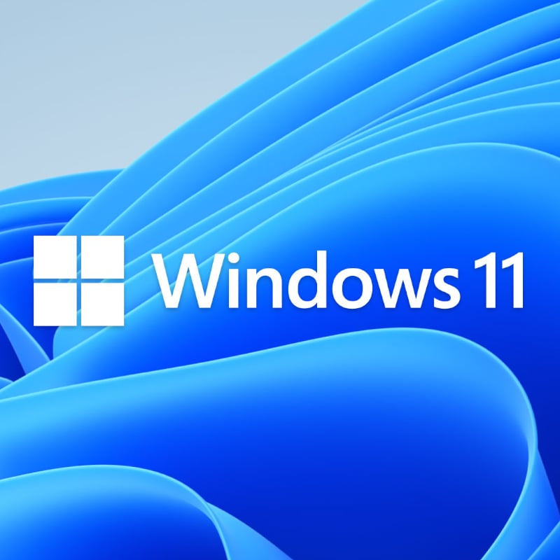 Microsoft Windows 11 Home Single-User DVD License